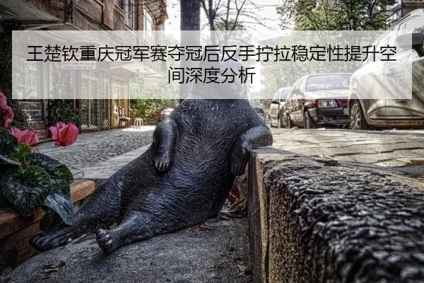 wang-chu-qin-chong-qing-guan-jun-sai-duo-guan-hou-fan-shou-ning-la-wen-ding-xing-ti-sheng-kong-jian-shen-du-fen-xi-2-851.jpg